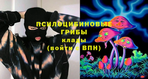 винт Гусиноозёрск